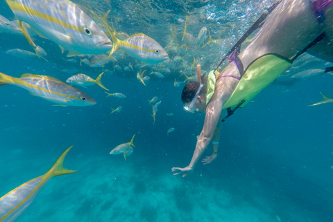 Miami: Key West Tour med snorkling och kajakpaddling