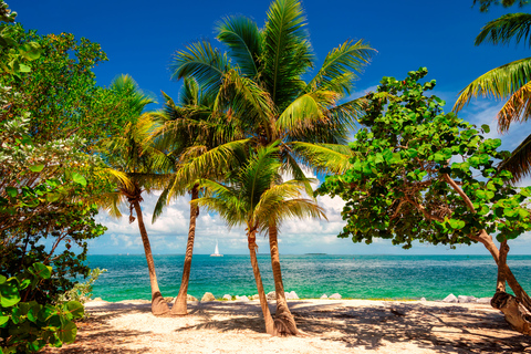 Miami: Key West Tour med snorkling och kajakpaddling