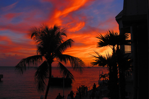 Miami: Key West Tour med snorkling och kajakpaddling