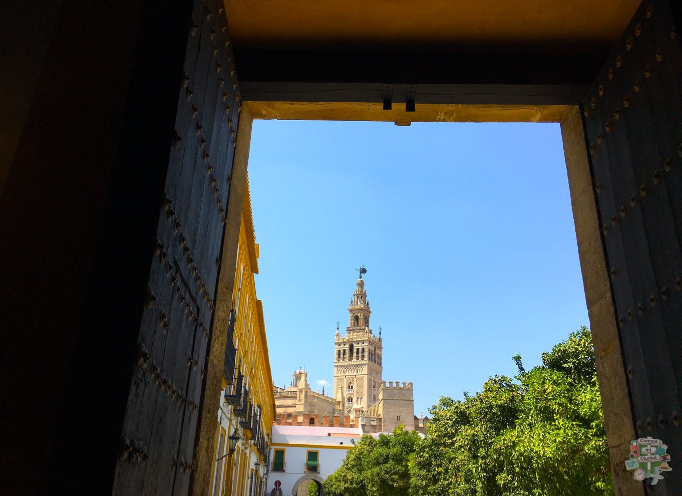 Sevilla: Katedralen, Giralda og Royal Alcázar guidet tur