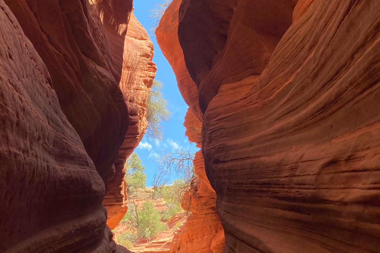 Kanab: Peek-A-Boo and Great Chamber UTV Guided Tour