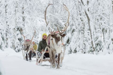 Levi: Winter-Highlights Familientag mit Schneemobil-Safari