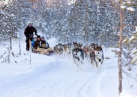 Levi, invierno destaca el Día de la Familia con Snowmobile Safari - Hizvo