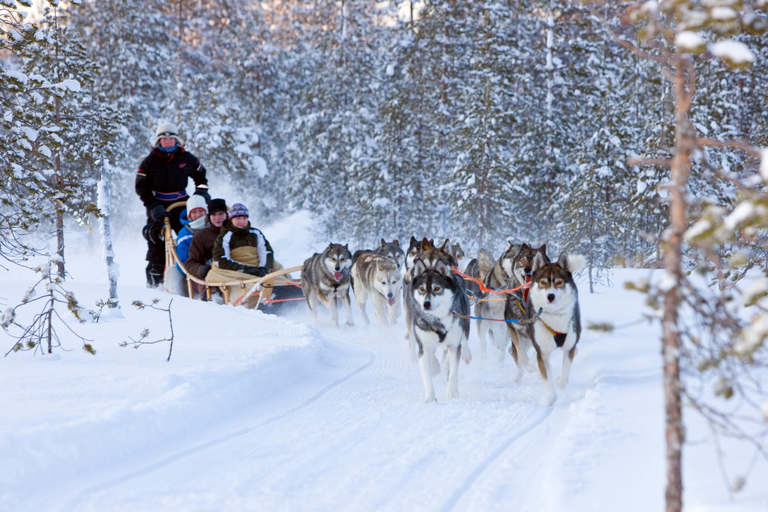 Levi: Winter Highlights Family Day with Snowmobile Safari