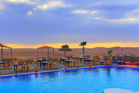 Marrakech: Abendessen und Quadbike Wüste Agafay Stars &amp; Showalles inklusive