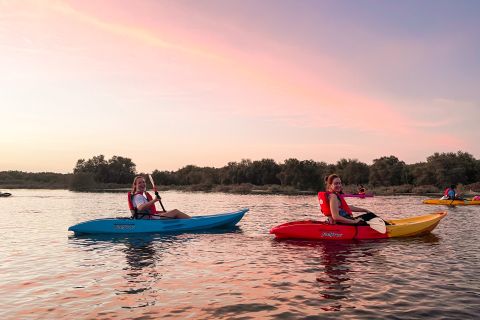 Abu Dhabi: 2-hour Guided Kayak Tour in the Mangroves