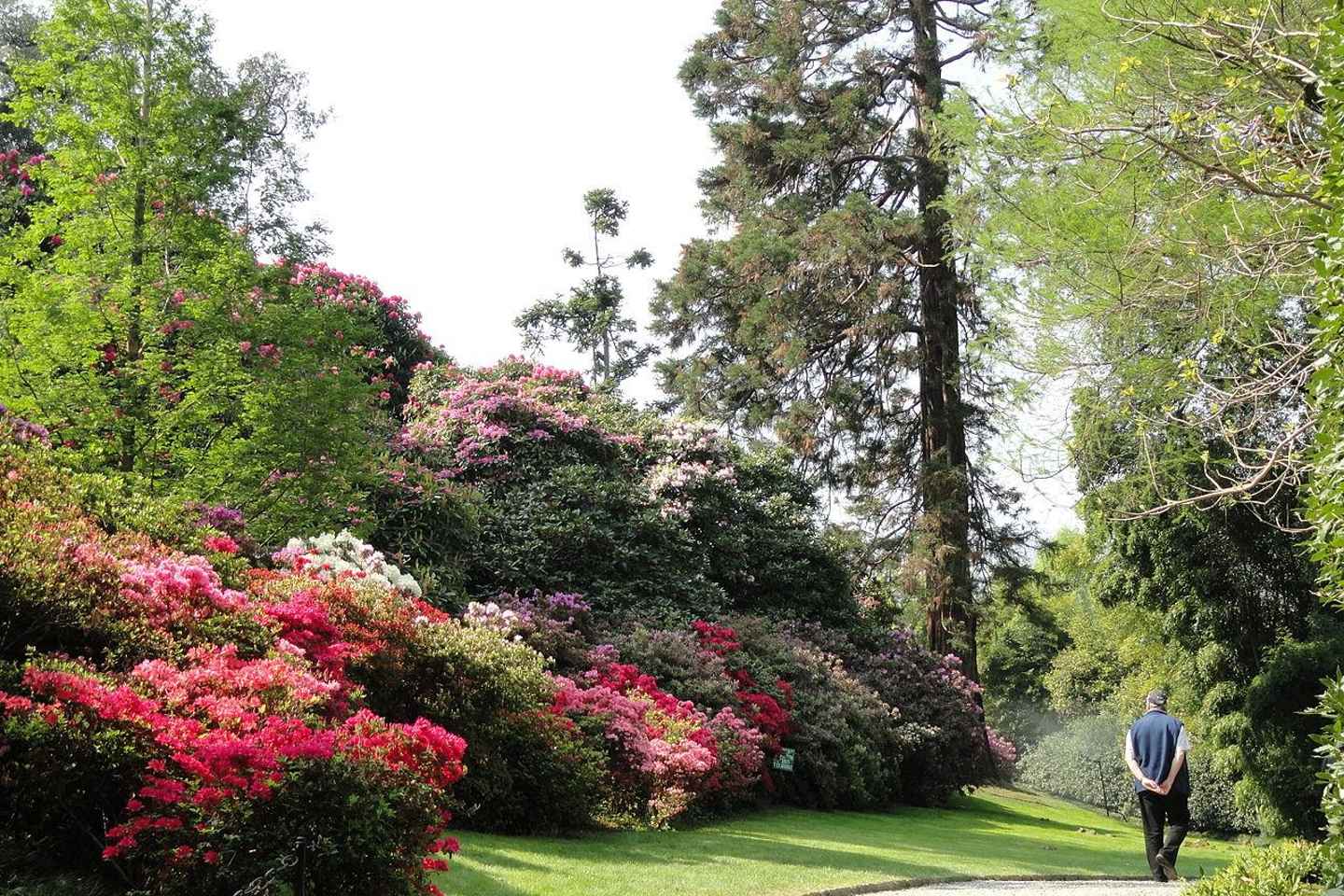 Stresa: Madre & Bella Borromean Islands Boat Trip