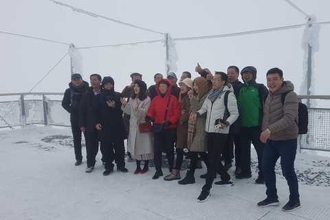 Jungfraujoch Cima de Europa: Una aventura alpina autoguiadaDesde Interlaken: tour autoguiado de Jungfraujoch