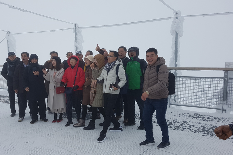 Jungfraujoch Cima de Europa: Una aventura alpina autoguiadaDesde Interlaken: tour autoguiado de Jungfraujoch