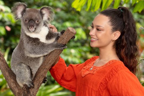 Kuranda: Koalas, Birds and Butterflies Experience