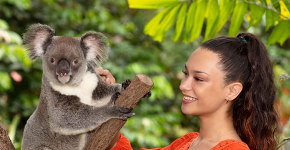 Kuranda Wildlife Experience: Koalas, Birds & Butterflies