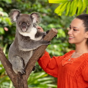 Kuranda Wildlife Experience: Koalas, Birds & Butterflies