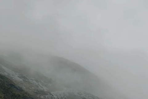 De Kochi a Munnar: Eravikulam, finca de té y cascadas