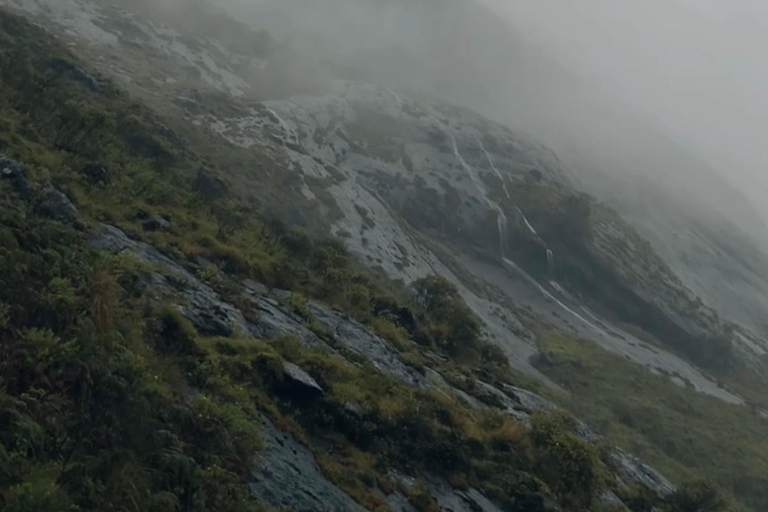 De Kochi a Munnar: Eravikulam, finca de té y cascadas