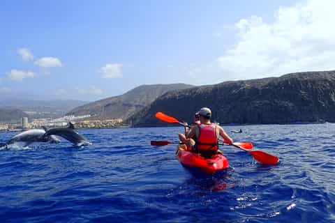 Tenerife: Kayaking and Snorkeling with Turtles