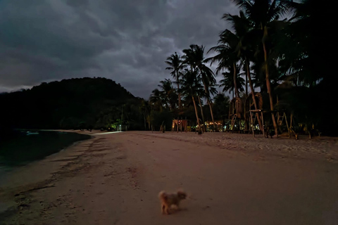 Coron: Overnight Island Adventure with Meals and Transfers