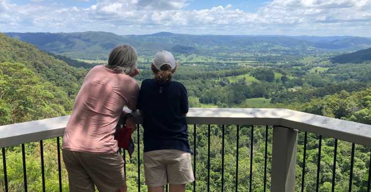 Sunshine Coast Rainforest Views and Montville Day Tour
