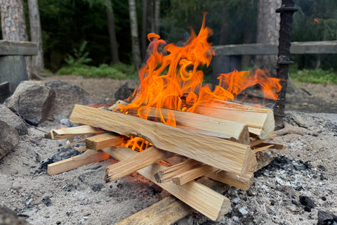 Helsinki: Nuuksio National Park Hike with Lunch & Pickup