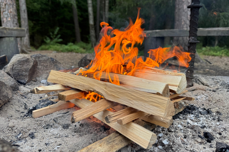 Helsinki: Nuuksio National Park Hike with Lunch & Pickup