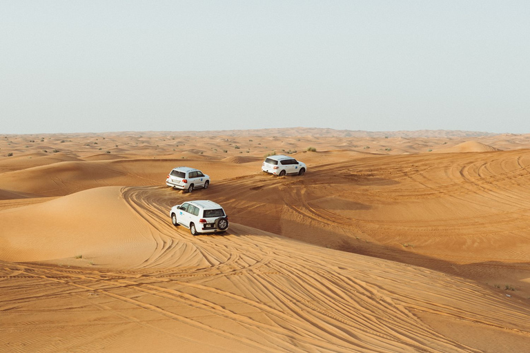 Dubai: Desert Safari, Camel Ride, and BBQ Dinner