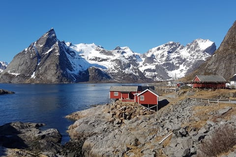 Winter photography tour to Reine