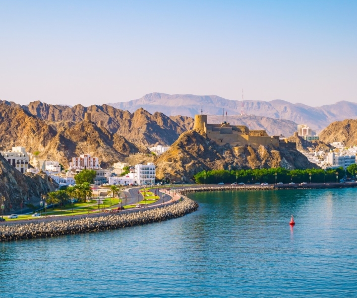 Muscat Half-Day City Tour with Audio Guiding