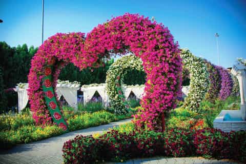 Dubai Flora and Fauna 4-Hour Tour