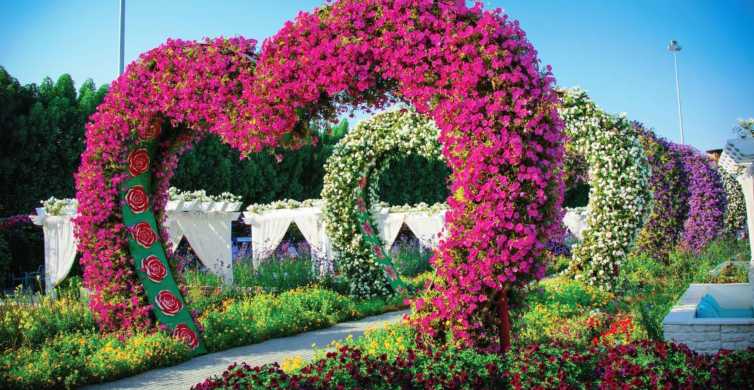 Miracle Garden Dubai - Timings , Tickets Price Entry Fee | JTR Holidays