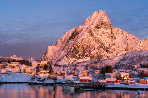 Da Svolvær: Tour fotografico e fotografo di Reine WinterEsplora le Isole Lofoten