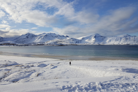 De Svolvær: Reine Winter Tour fotográfico e fotógrafoExplore as Ilhas Lofoten