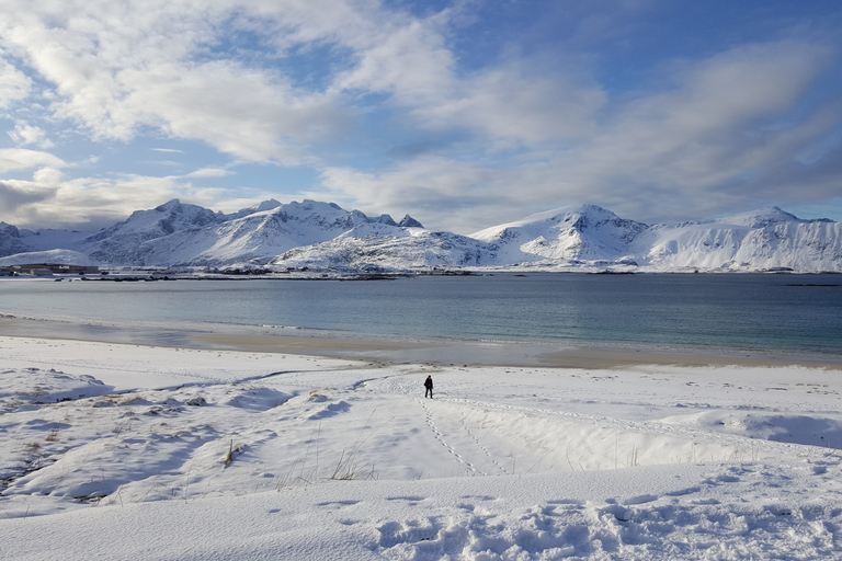 Von Svolvær: Reine Winter-Fototour und FotografEntdecke die Lofoten-Inseln