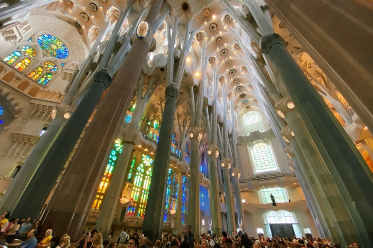 Barcelona: snelle rondleiding door de Sagrada FamiliaBarcelona: snelle rondleiding door de Sagrada Familia in het Spaans