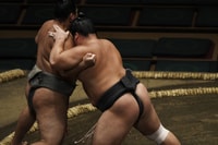 Tokyo, Sumo Tour with Premium Sumo Tournament Ticket - Hizvo