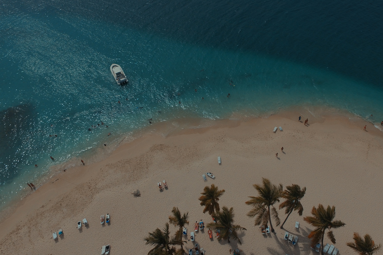 Punta Cana: Całodniowe doświadczenie w zatoce SamanaOpcja standardowa