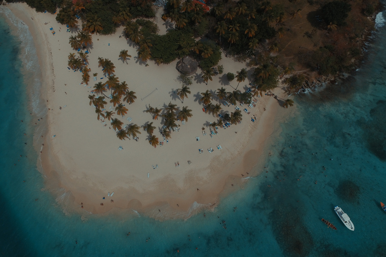 Punta Cana: Día completo en la Bahía de SamanáOpción Estándar