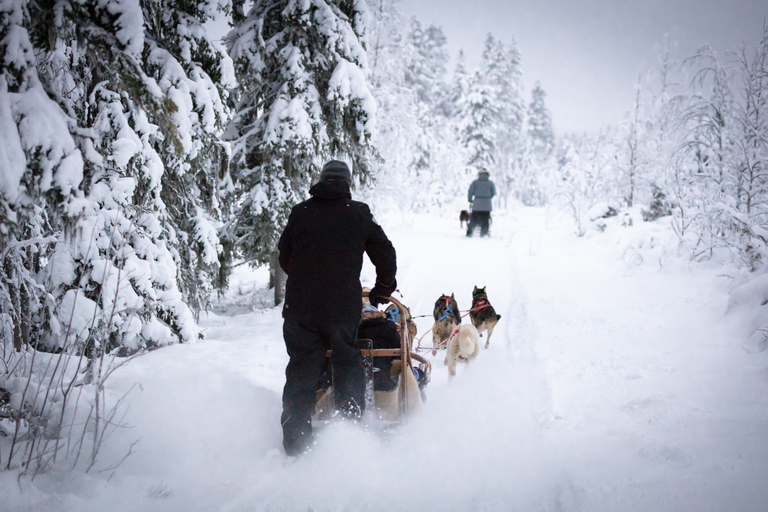 Levi: Winter Hoogtepunten FamiliedagLevi: wintertour en sleerit met rendieren voor het gezin