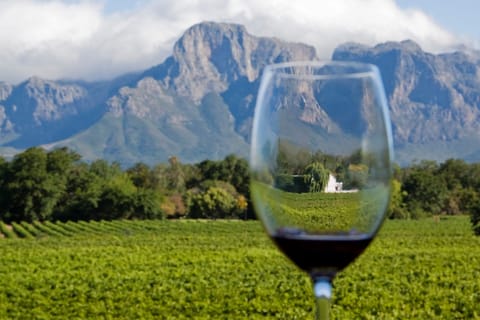 From Cape Town: Private Cape Winelands Tour