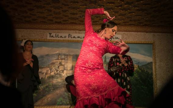 Granada: 1-stündige Flamenco-Show