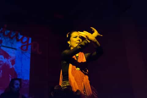 Málaga: Traditional Flamenco Show in Tablao Los Amayas