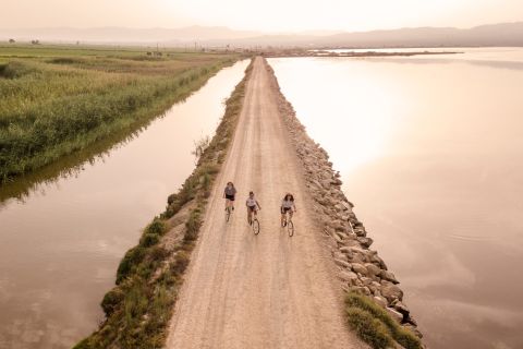 Tarragona: Bike Tour to The Fishing Heart of The Ebro Delta
