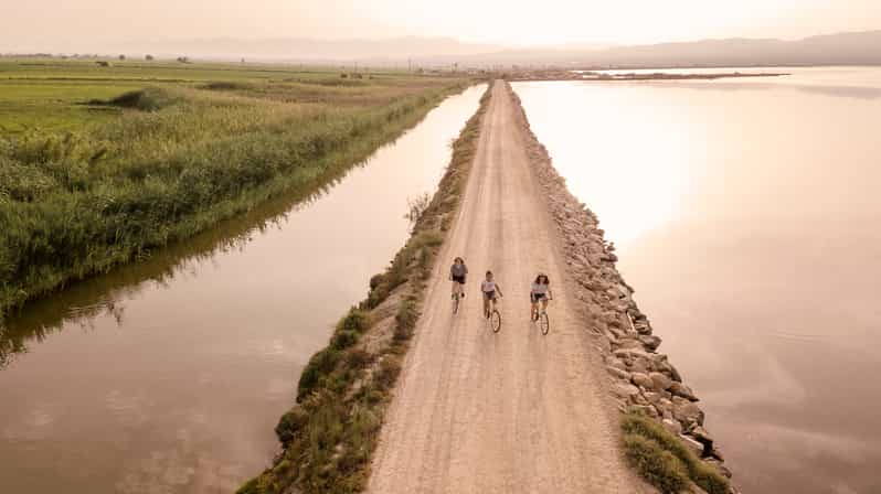 Tarragona: Bike Tour to The Fishing Heart of The Ebro Delta