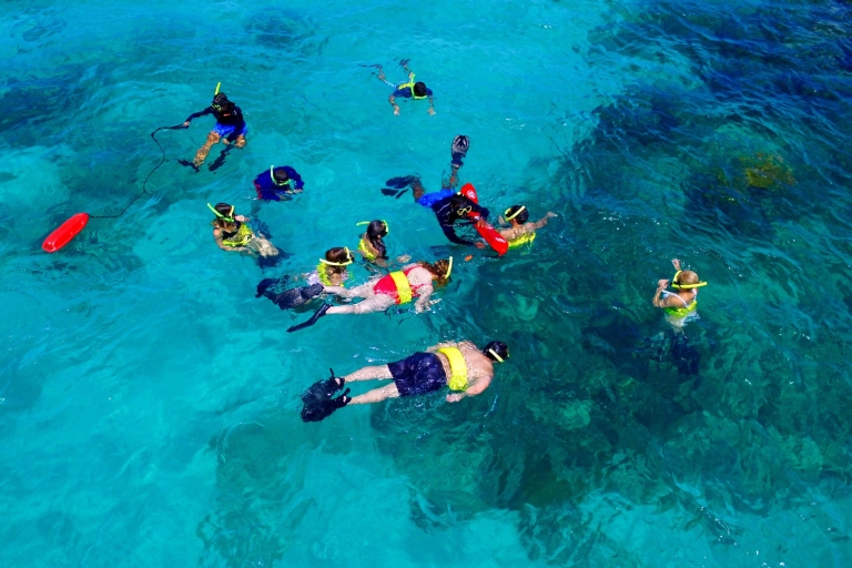 Île d'Icacos : excursion de plongée en apnée de 5 heuresTous niveaux - Excursion de plongée en apnée sur l'île d'Icacos (5 heures)