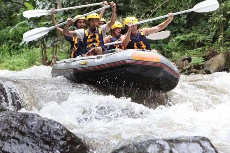 Ubud: tour in quad, rafting e piscina a sfioroTour in quad tandem, rafting e piscina a sfioro