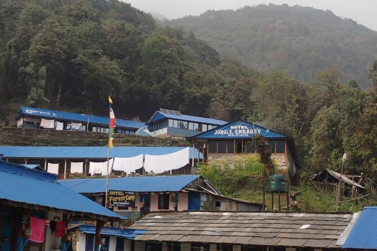 Pokhara : 5 jours de trek au camp de base du Mardi Himal avec transferts