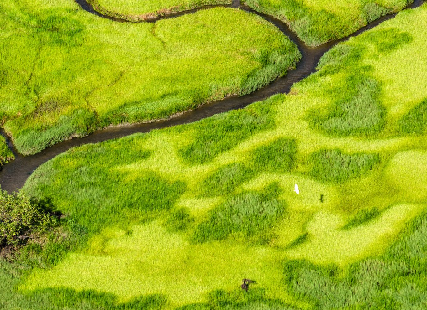 Jabiru: Guidet flyvning over Kakadu National Park