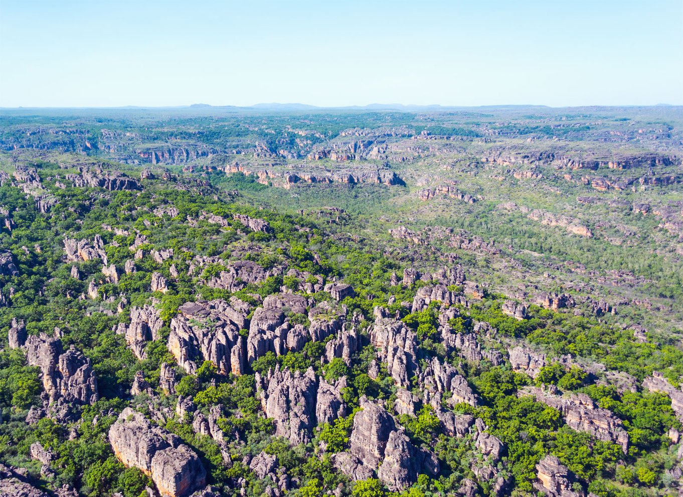 Jabiru: Guidet flyvning over Kakadu National Park