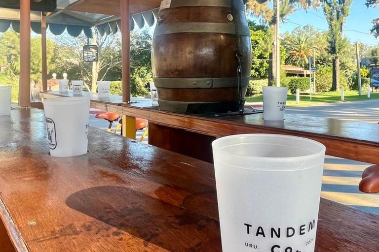 Colonia: gemeinsame Radtour mit Käse und handwerklich hergestelltem BierKöln: Gemeinsame Radtour mit Käse und Craft Beer