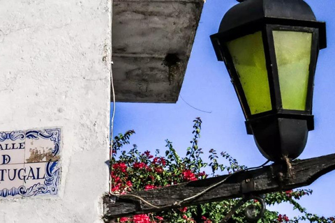 Colonia del Sacramento: Museum Access Ticket (Self-Guided)