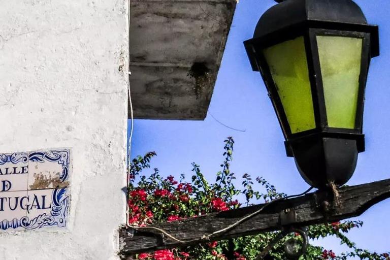 Colonia del Sacramento: Museum Access Ticket (Self-Guided)