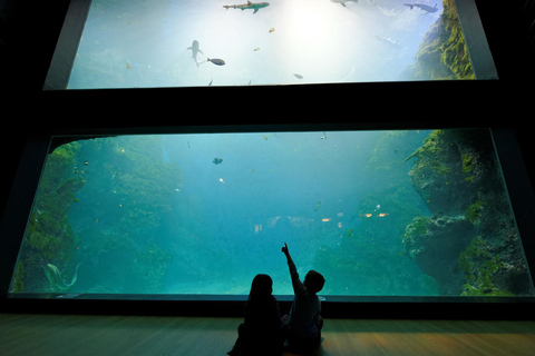 Lyon: bilet wstępu do akwarium